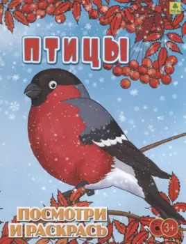 Птицы. Посмотри и раскрась