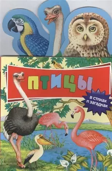 Птицы в стихах и загадках