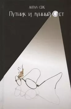 Путник и лунный свет Роман