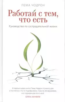 Работай с тем, что есть. Руководство по сострадательной жизни