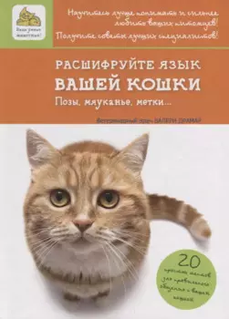 Расшифруйте язык вашей кошки. Позы, мяуканье, метки…