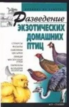 Разведение экзотических домашних птиц