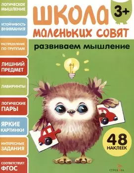 Развиваем мышление. 48 наклеек