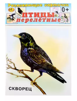 Развивающие карточки Птицы перелетные (0+) (12 карточек)