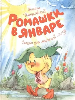 Ромашки в январе