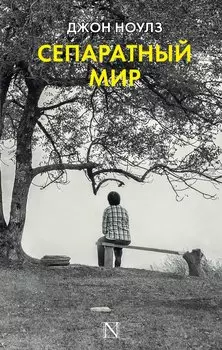 Сепаратный мир : роман