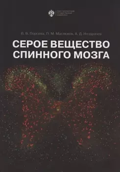 Серое вещество спинного мозга