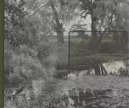 Сними мне Левитана!