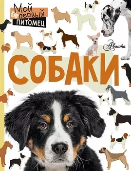 Собаки