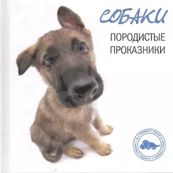 Собаки Породистые проказники