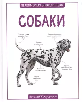 Собаки