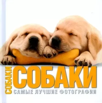 Собаки. Самые лучшие фотографии