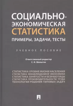 Социально-экономическая статистика: Примеры, задачи, тесты. Учебное пособие