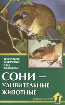 Аквар.Сони-удивительные животные