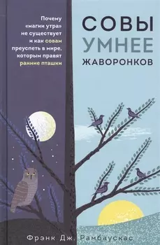 Совы умнее жаворонков. Почему "магии утра" не существует и как совам преуспеть в мире, в котором правят ранние пташки