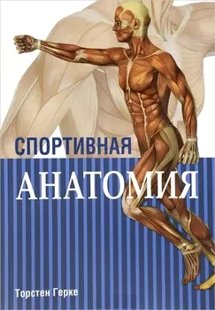 Спортивная анатомия