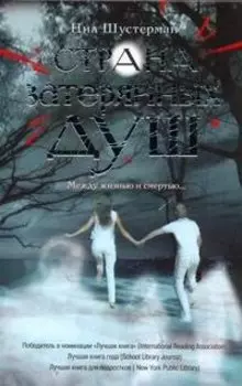 Страна затерянных душ. Неизведанные земли: роман