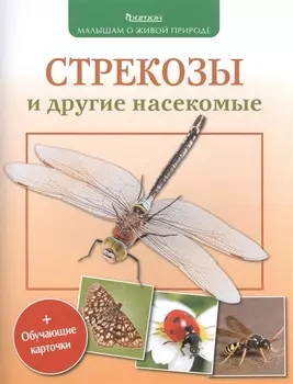 Стрекозы и другие насекомые