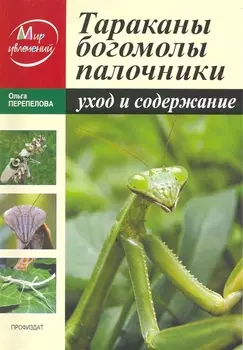 Тараканы Богомолы Палочники Уход и содержание