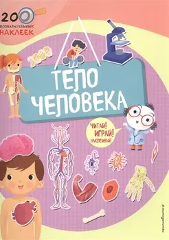 Тело человека