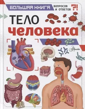 Тело человека