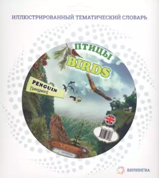 Тематический словарь BIRDS (Птицы).