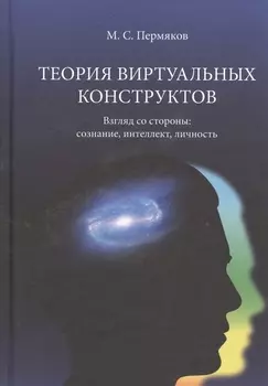Теория виртуальных конструктов. Взгляд со стороны: сознание, интеллект, личность