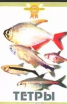 Тетры (цвет)