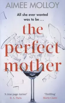 The Perfect Mother