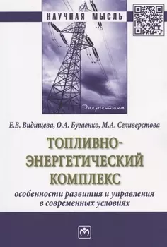 Топливно-энергетический комплекс:особенности развития и управления в современных условиях