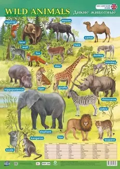 Учебный плакат. Английский язык. Дикие животные. (Формат А2)