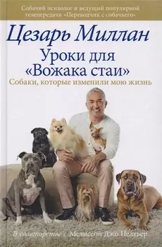 Уроки для "Вожака стаи". Собаки, которые изменили мою жизнь