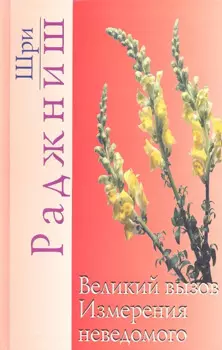 Великий вызов. Измерения неведомого