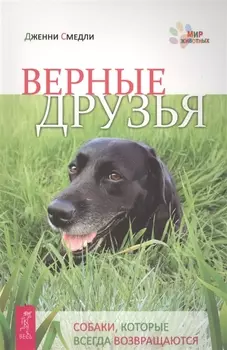 Верные друзья Собаки которые всегда возвращаются