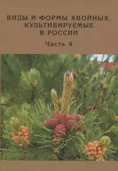 Виды и формы хвойных, культивируемые в России. Часть 4. Сосна