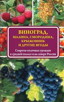Виноград малина смородина крыжовник и другие ягоды Секреты отличных урожаев в средней полосе и на севере России