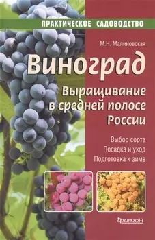 Виноград Выращивание в средней полосе России