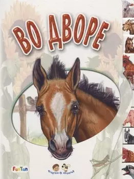 Во дворе