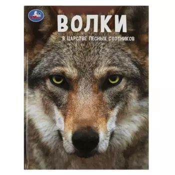 Волки. В царстве лесных охотников