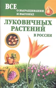 Луковичные растения.Все о выращивании