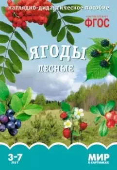 Ягоды лесные. Наглядно-дидактическое пособие. ФГОС