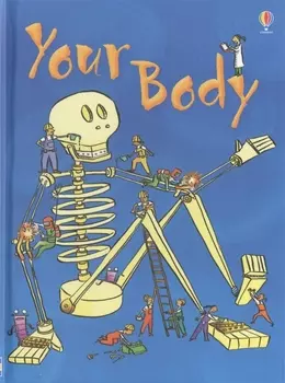 Your Body