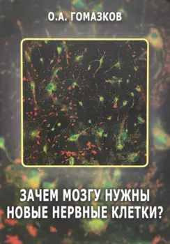 Зачем мозгу нужны новые клетки?