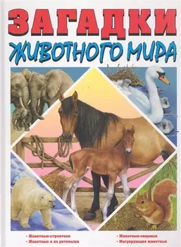 Закадки животного мира