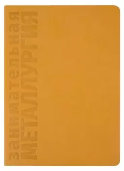 Занимательная Металлургия. Познавательный ежедневник