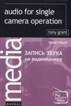 Запись звука на видеокамеру