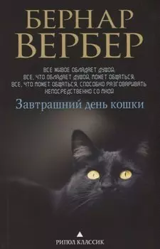 Завтрашний день кошки