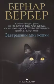 Завтрашний день кошки