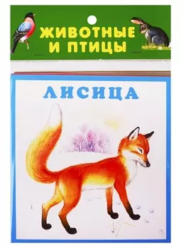 Животные и птицы. Карточки