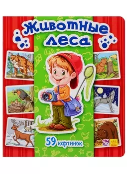 Животные леса. 59 картинок